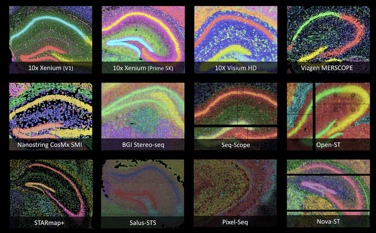 Cross-platform Support
